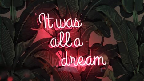 pink neon text against a wall decorated with leaf wallpaper reading it was all a dream