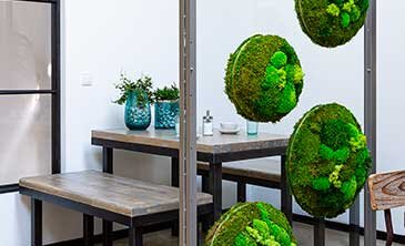 deurflora collaboration cruise ship screens